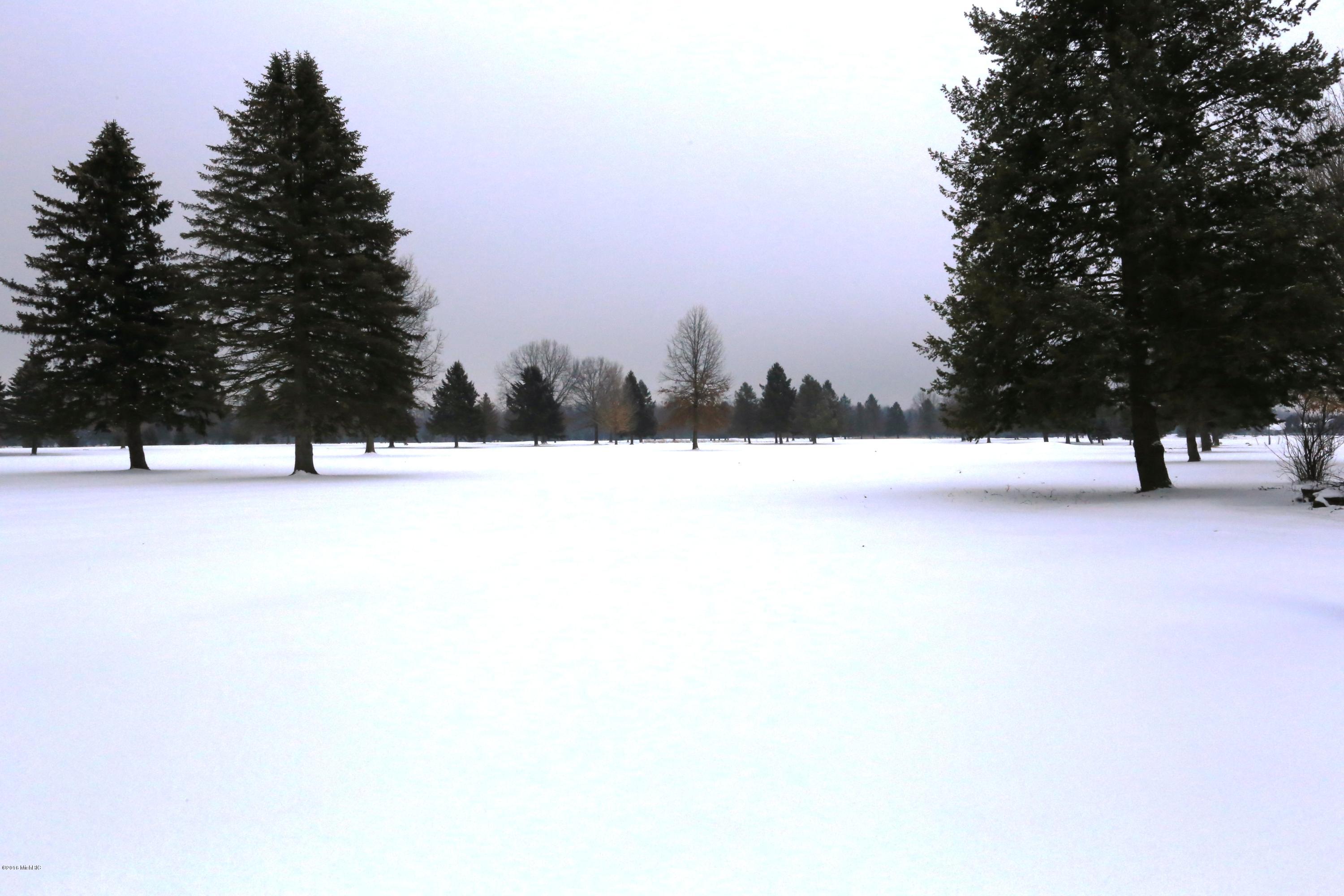 52293 Pulver Road Three Rivers, MI 49093 - Photo 54 of 57 IMG_1011