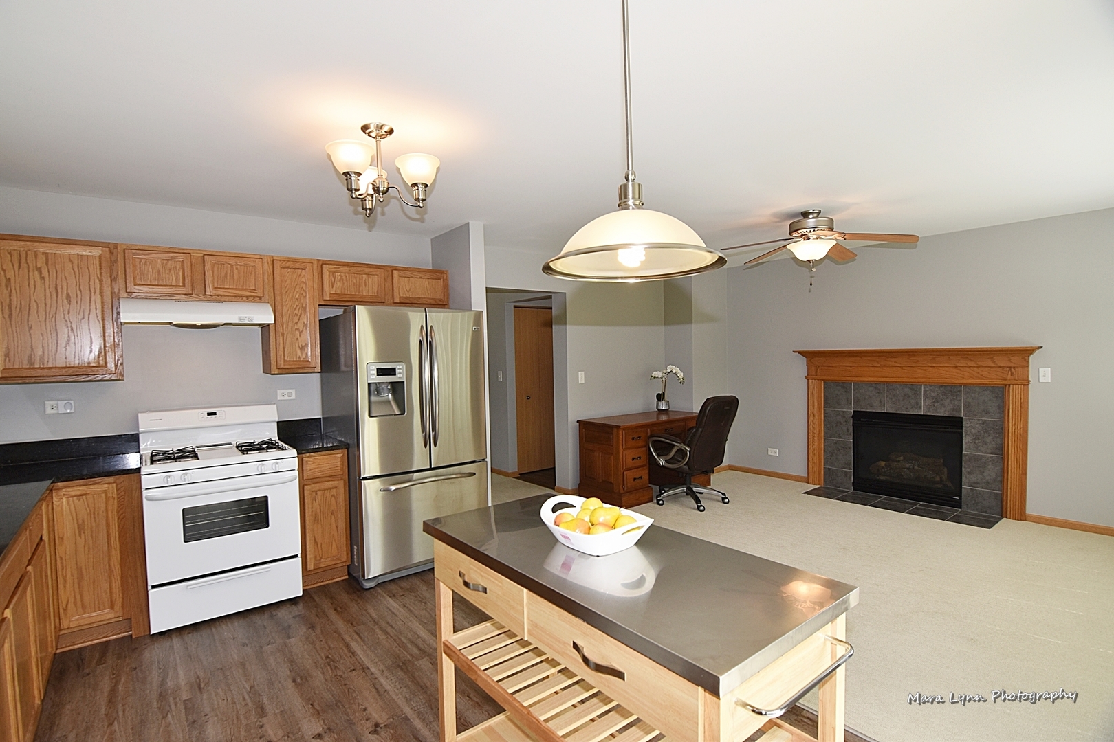 1125 Bailey Road Sycamore, IL 60178 - Photo 7 of 30 a kitchen with stainless steel appliances granite countertop a stove refrigerator and a fireplace with wooden floor