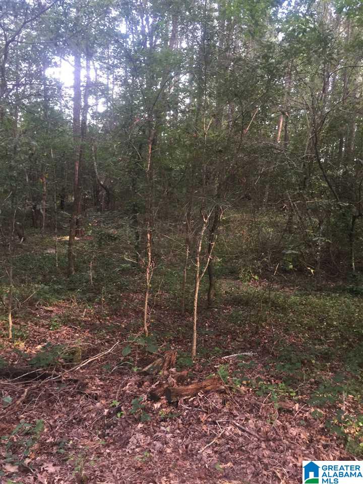 241 Sulphur Springs Road, Unit 9 89 ACRES Lincoln, AL 35096 - Photo 17 of 44