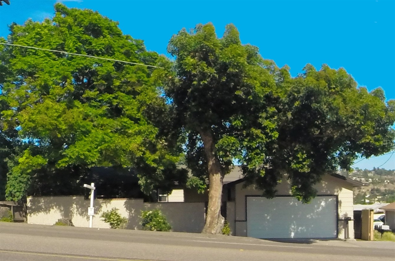 3145 Sweetwater Road Lemon Grove, CA 91945 - Photo 1 of 19 Gallery Image 1