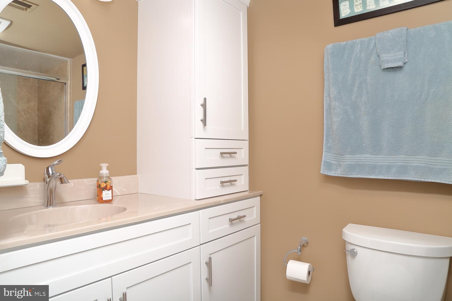 207 Valleybrook Drive Lancaster, PA 17601 - Photo 17 of 22 En-suite with built-ins and comfort toilet