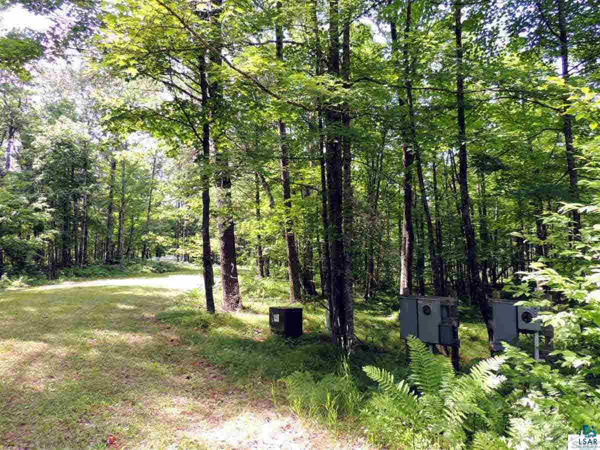 Lot 5 West Cable Lake Road Cable, WI 54821 - Photo 4 of 5 Gallery Image 4