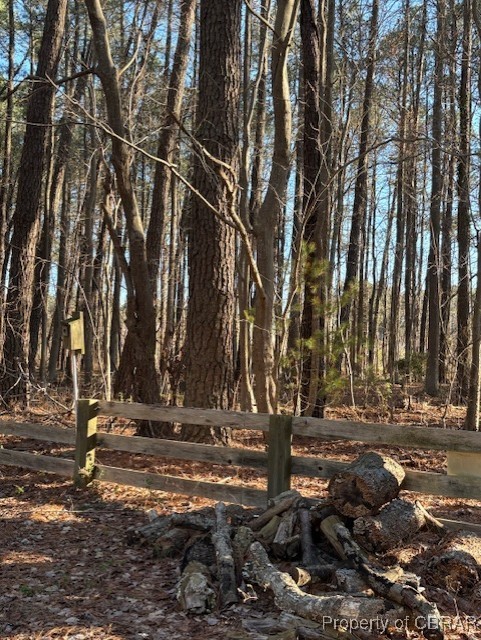 171 Lillys Neck Road Moon, VA 23119 - Photo 35 of 38 View of nature