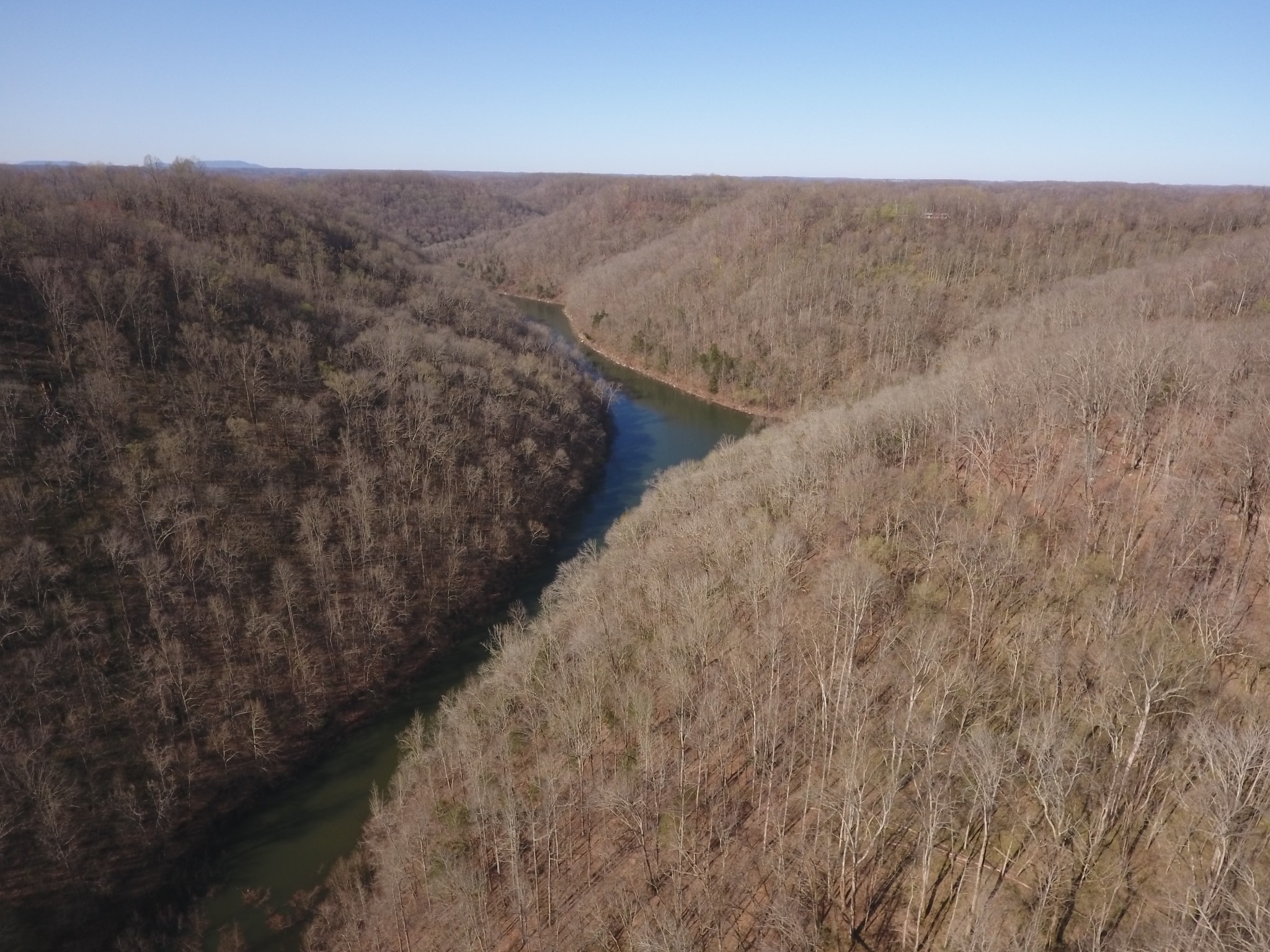 8065 Clemons Ridge Road Silver Point, TN 38582 - Photo 1 of 13 a view of a dry yard with wooden floor and fence