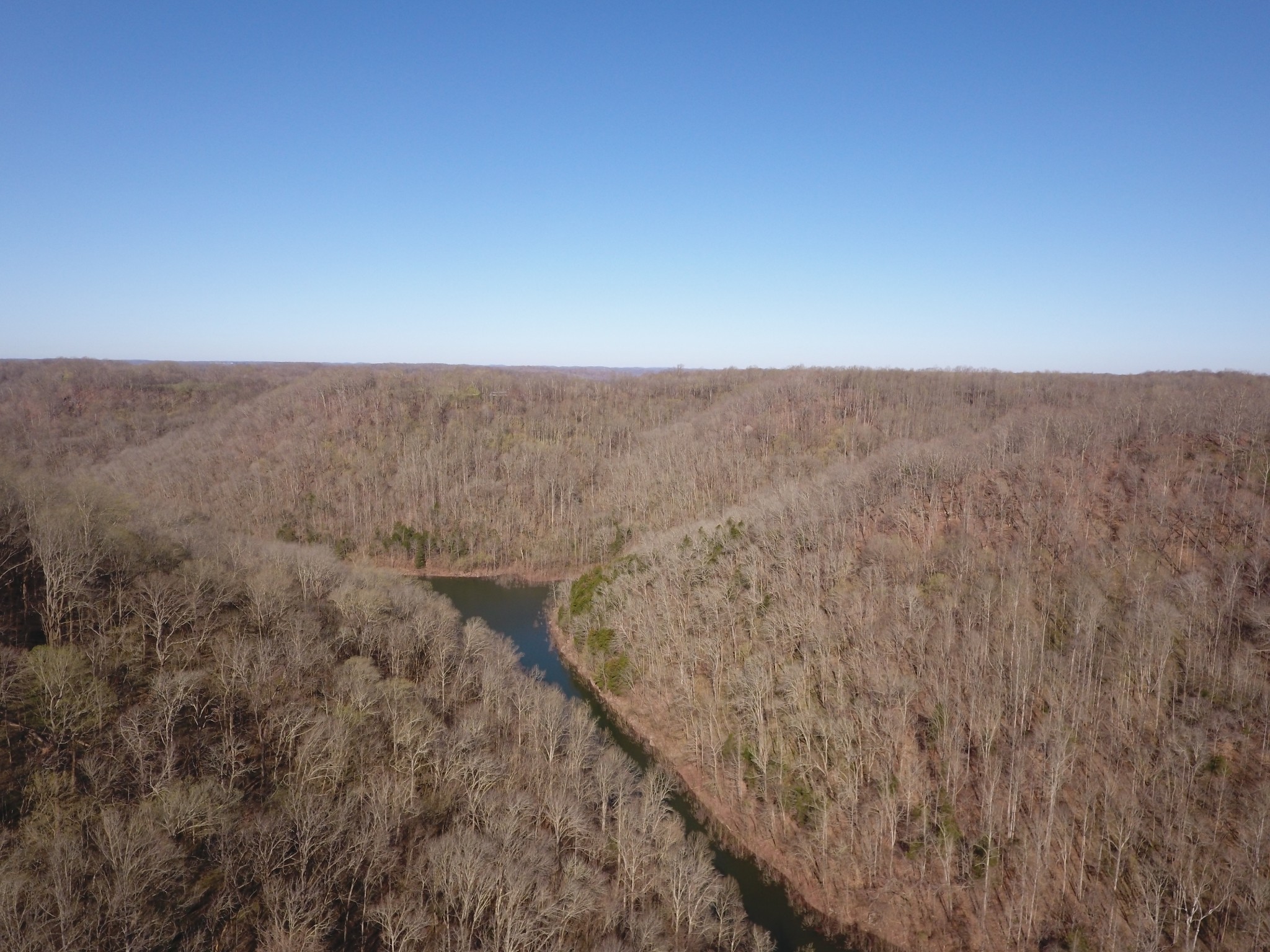 8065 Clemons Ridge Road Silver Point, TN 38582 - Photo 2 of 13 a view of a dry yard with wooden floor and fence