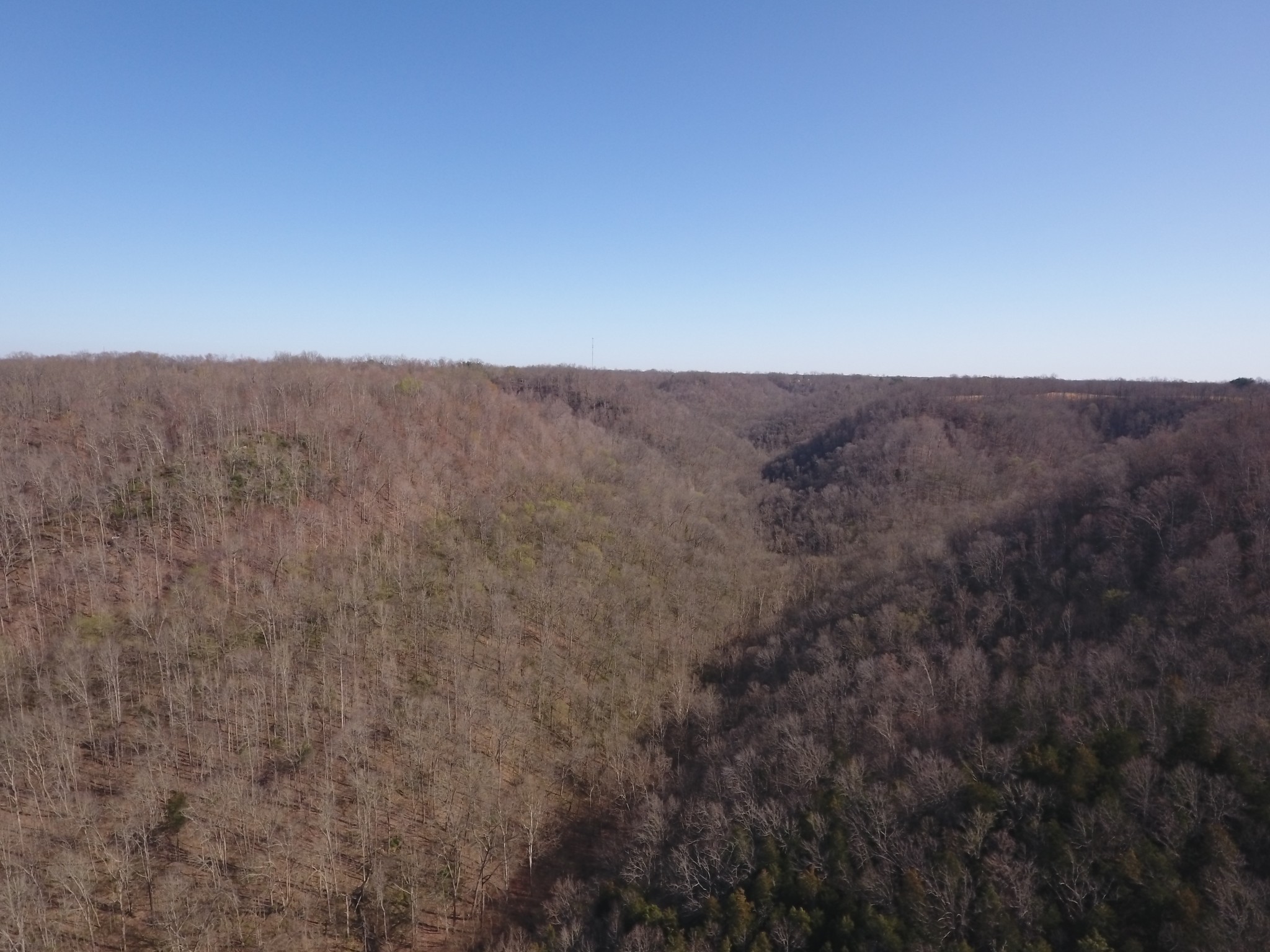8065 Clemons Ridge Road Silver Point, TN 38582 - Photo 3 of 13 a view of a dry yard