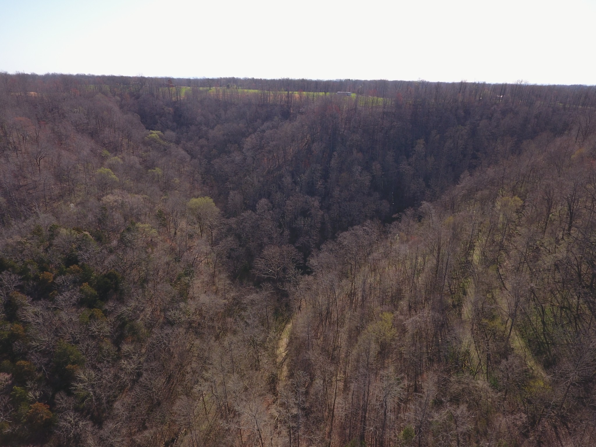 8065 Clemons Ridge Road Silver Point, TN 38582 - Photo 4 of 13 a view of a dry yard