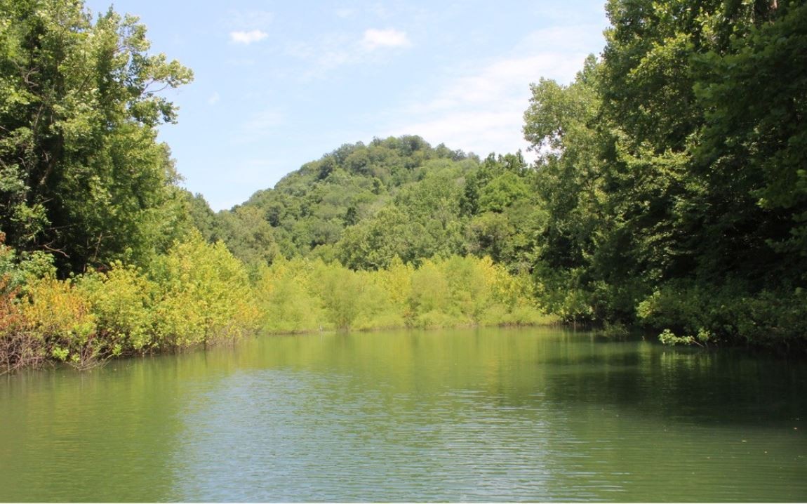 8065 Clemons Ridge Road Silver Point, TN 38582 - Photo 5 of 13 a view of lake