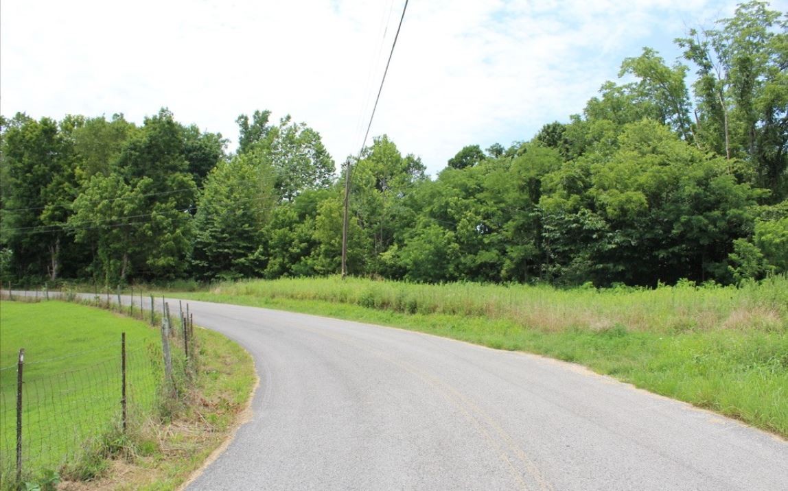 8065 Clemons Ridge Road Silver Point, TN 38582 - Photo 7 of 13 a view of a yard with a park