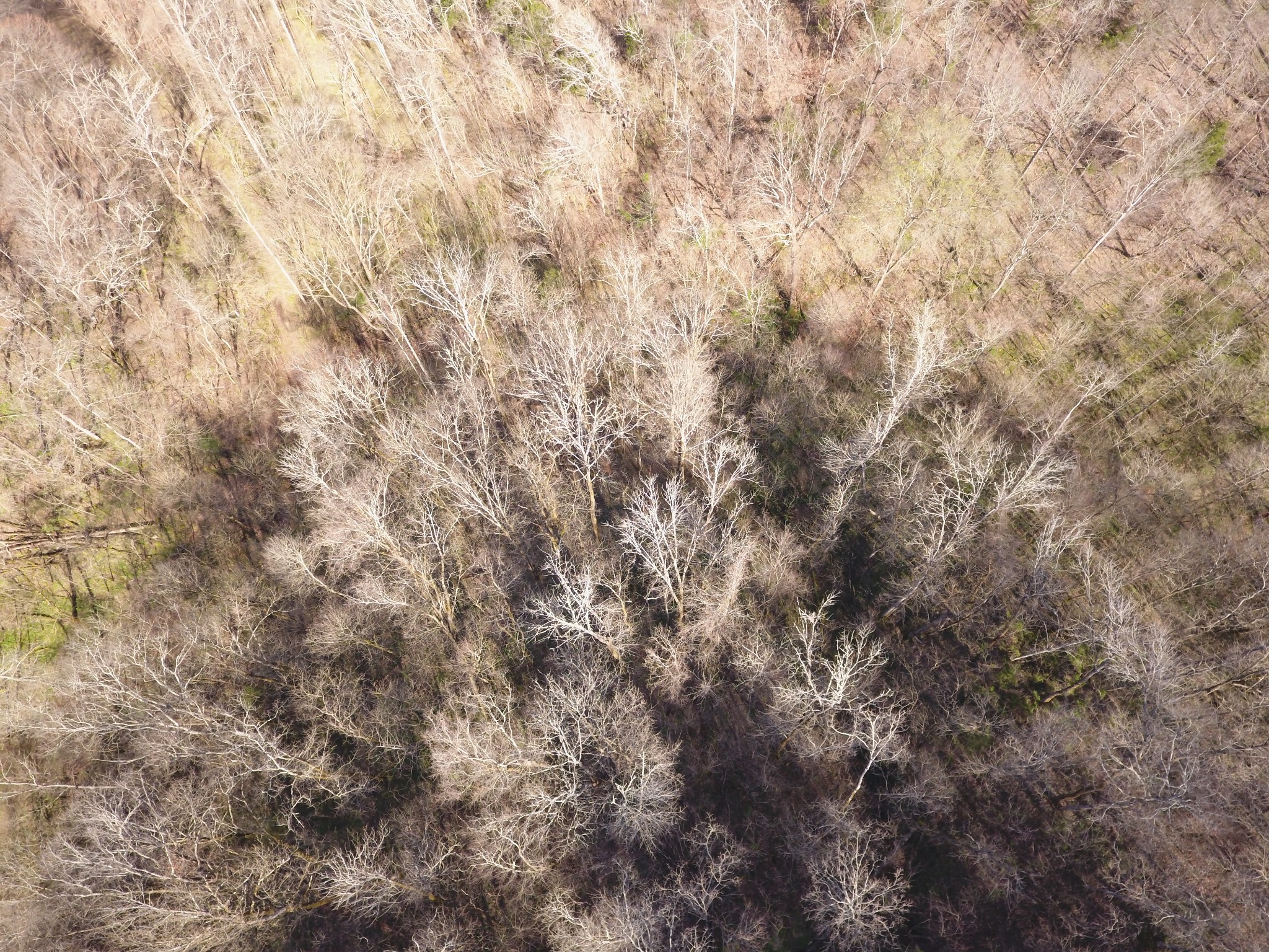 8065 Clemons Ridge Road Silver Point, TN 38582 - Photo 10 of 13 a close up of a wall