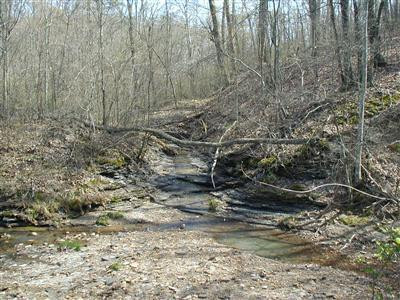 0 Millstone Road Clay City, KY 40312 - Photo 10 of 14 Photo 10