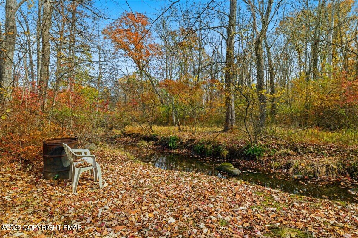 Stream