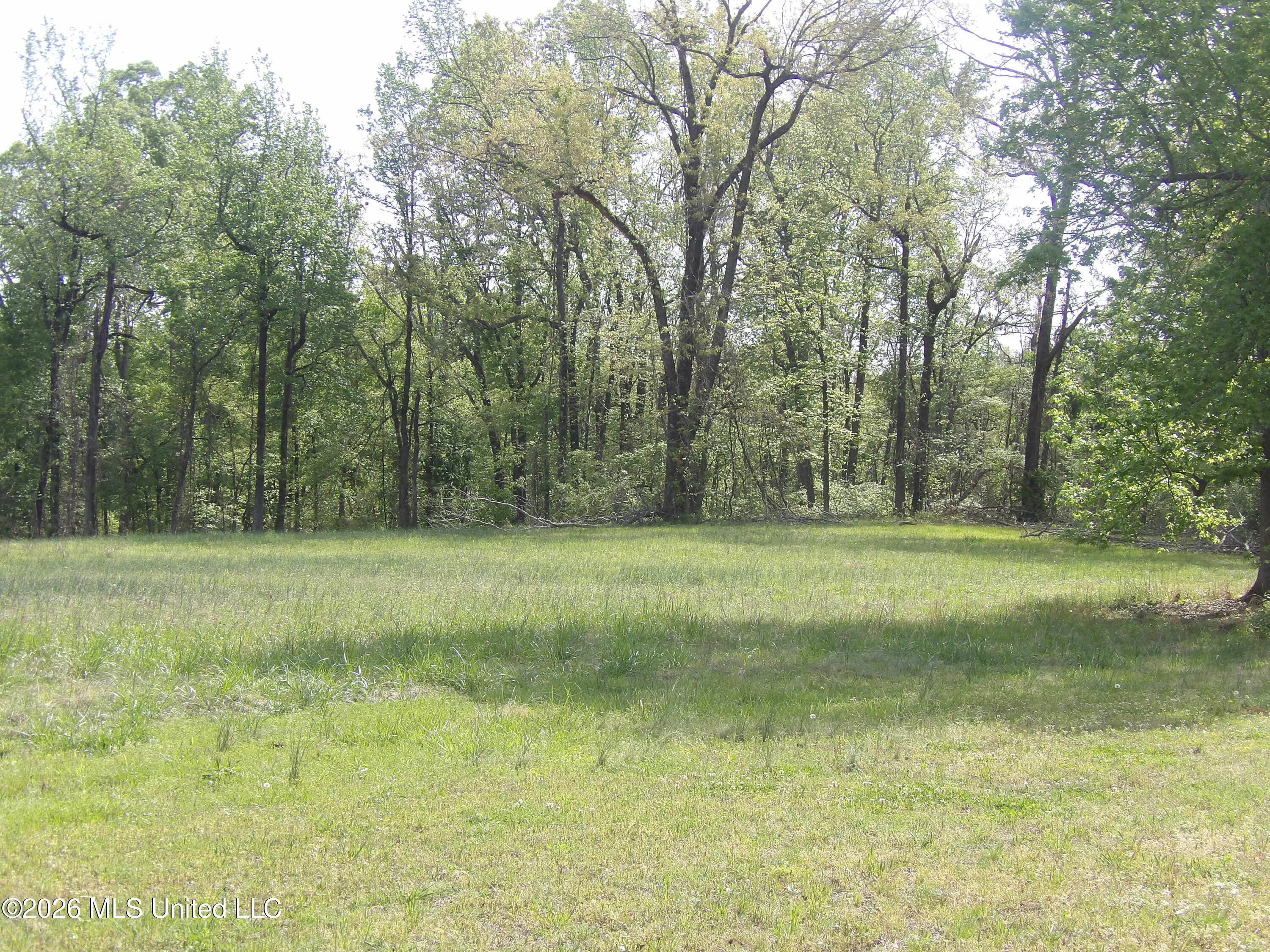 4269 Laws Hill Road Waterford, MS 38685 - Photo 12 of 19 100_7214