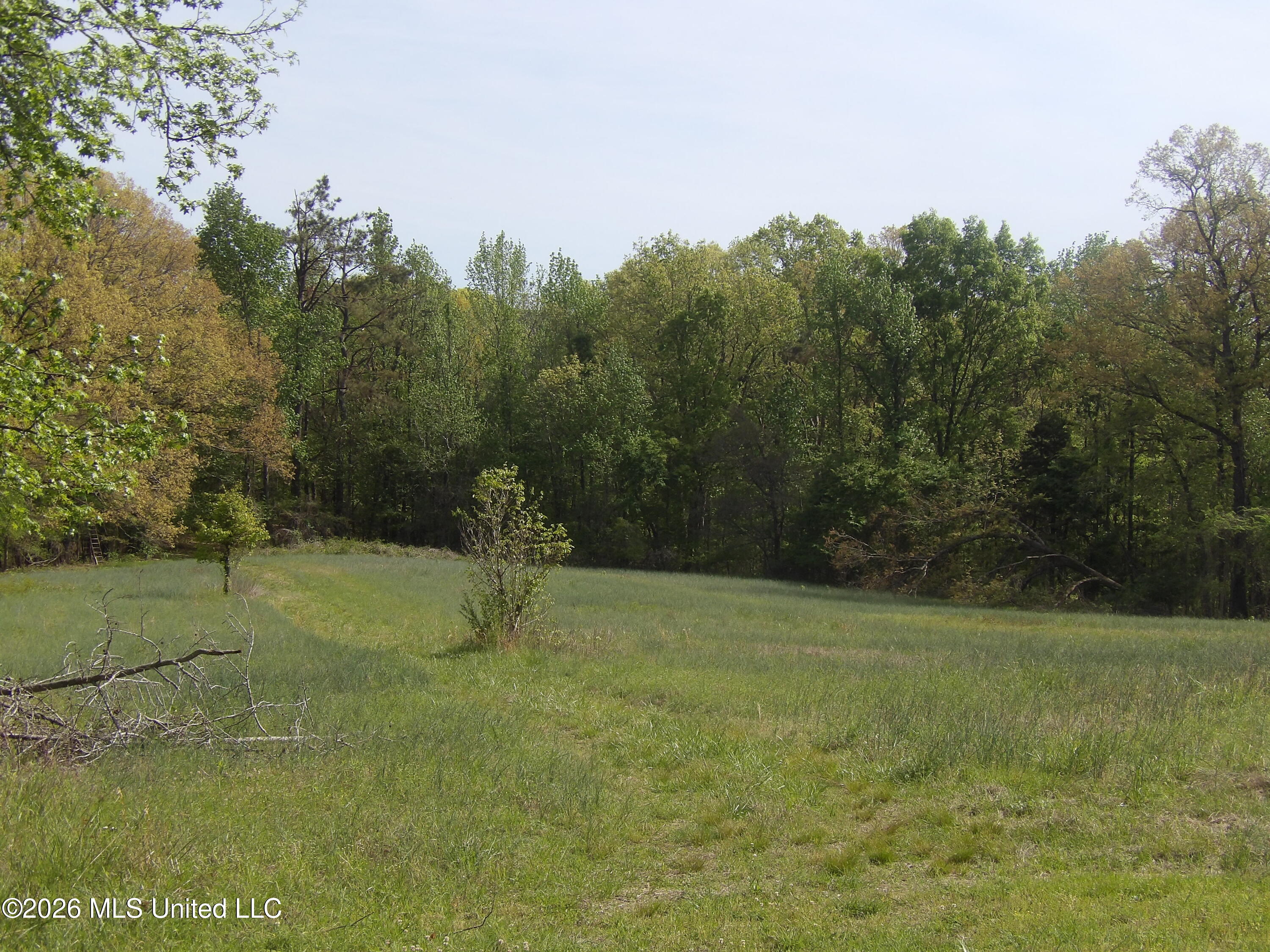 4269 Laws Hill Road Waterford, MS 38685 - Photo 13 of 19 100_7215