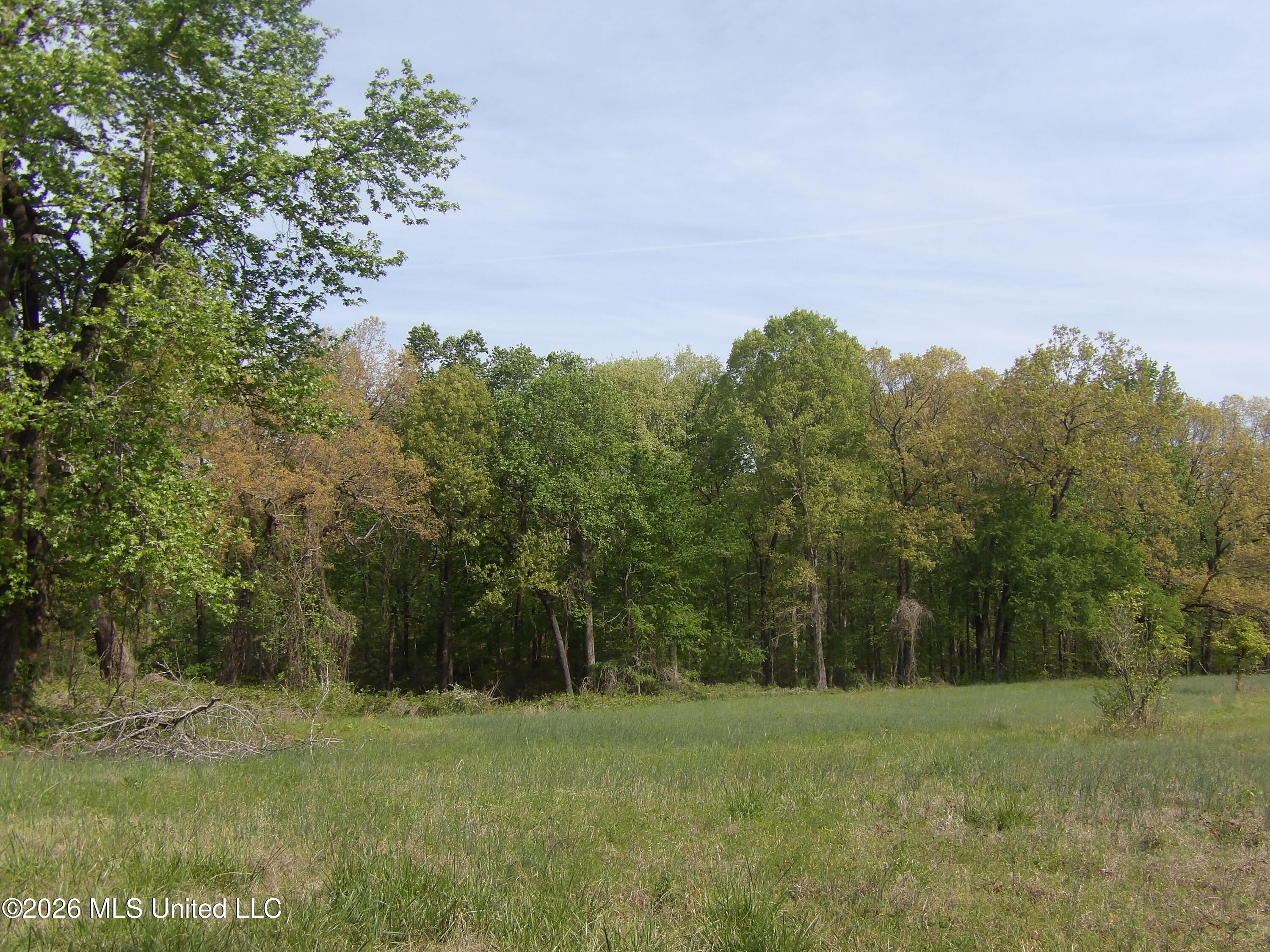 4269 Laws Hill Road Waterford, MS 38685 - Photo 15 of 19 100_7217