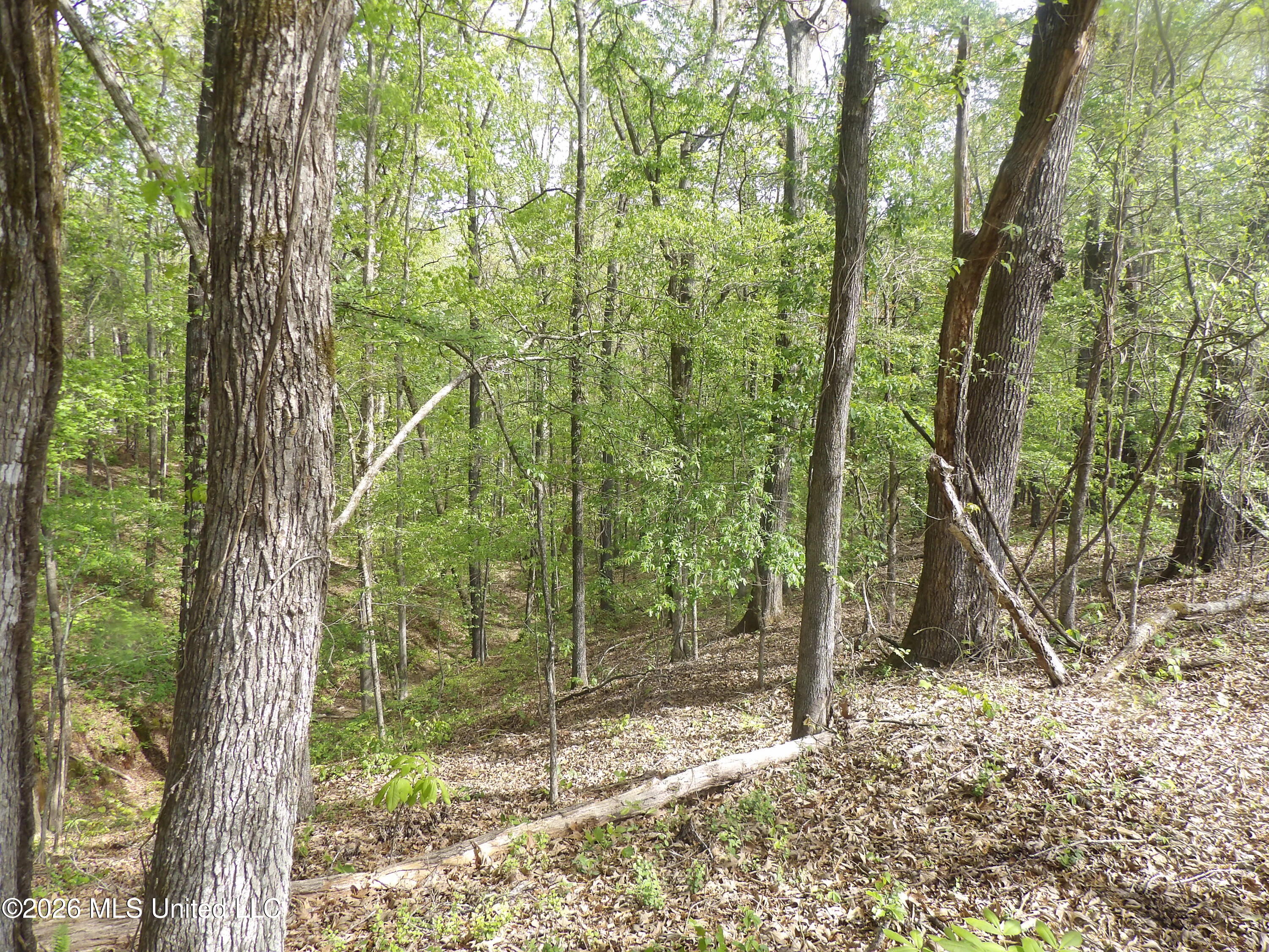 4269 Laws Hill Road Waterford, MS 38685 - Photo 16 of 19 100_7218