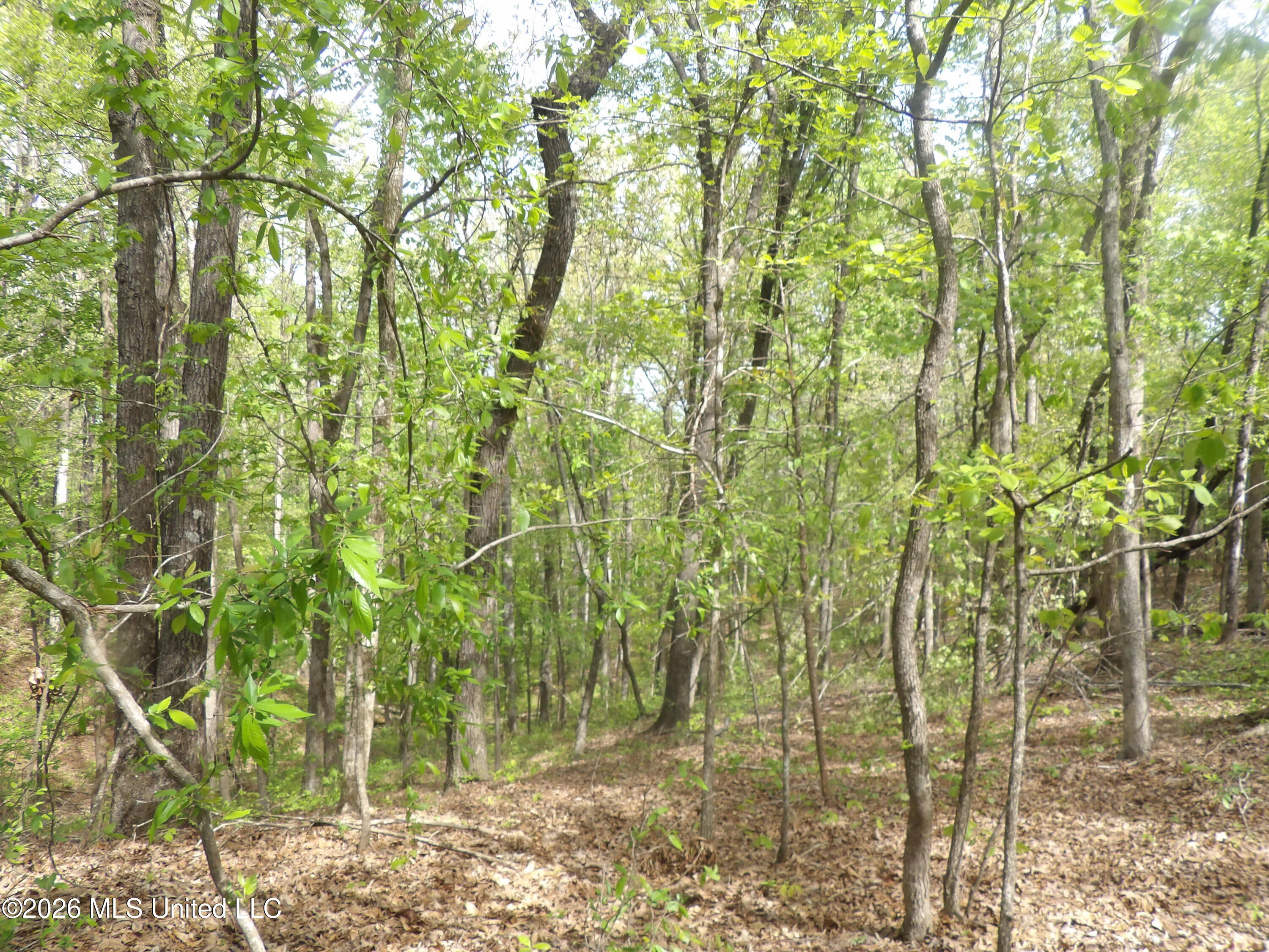 4269 Laws Hill Road Waterford, MS 38685 - Photo 17 of 19 100_7219