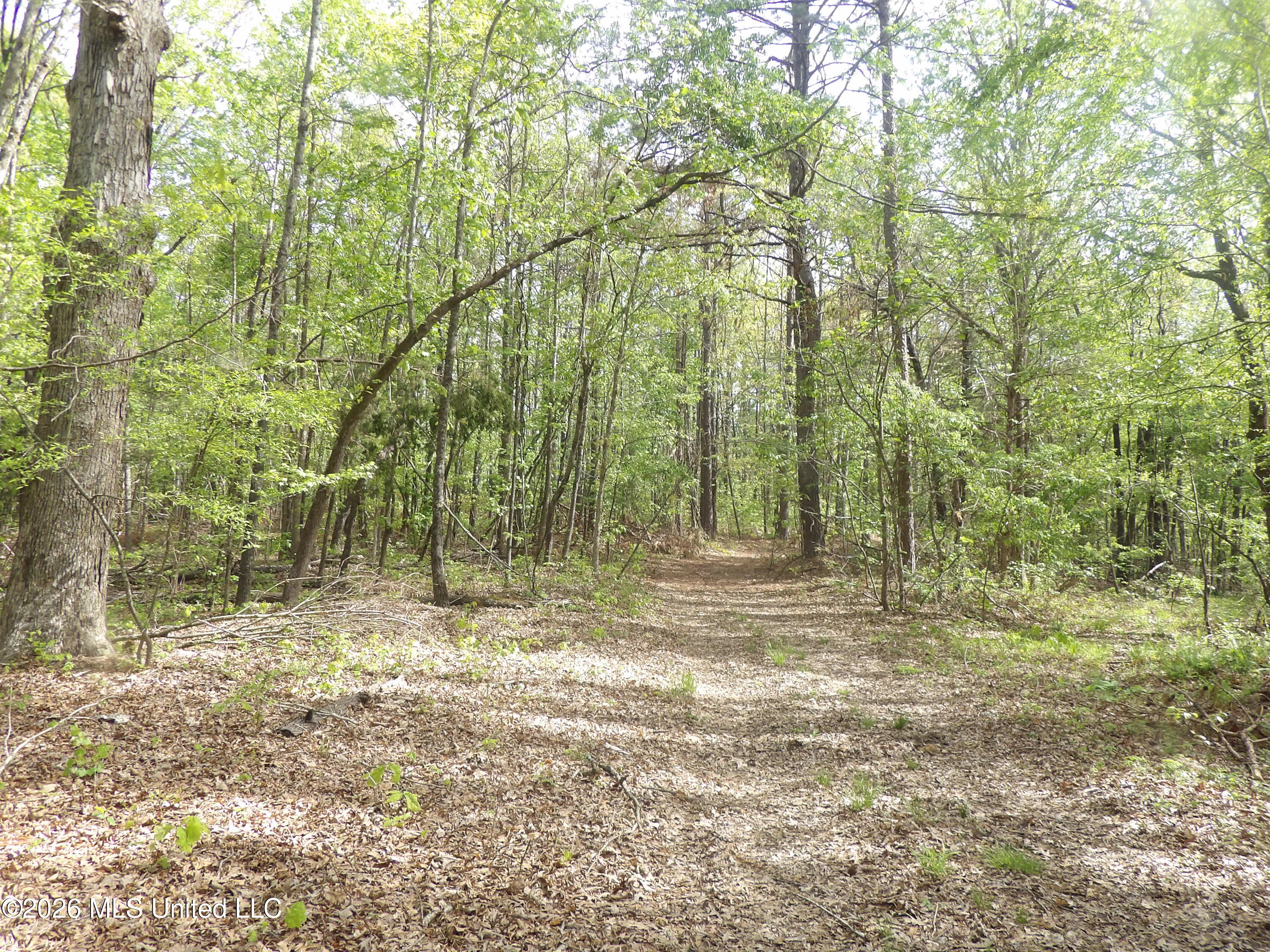 4269 Laws Hill Road Waterford, MS 38685 - Photo 18 of 19 100_7220