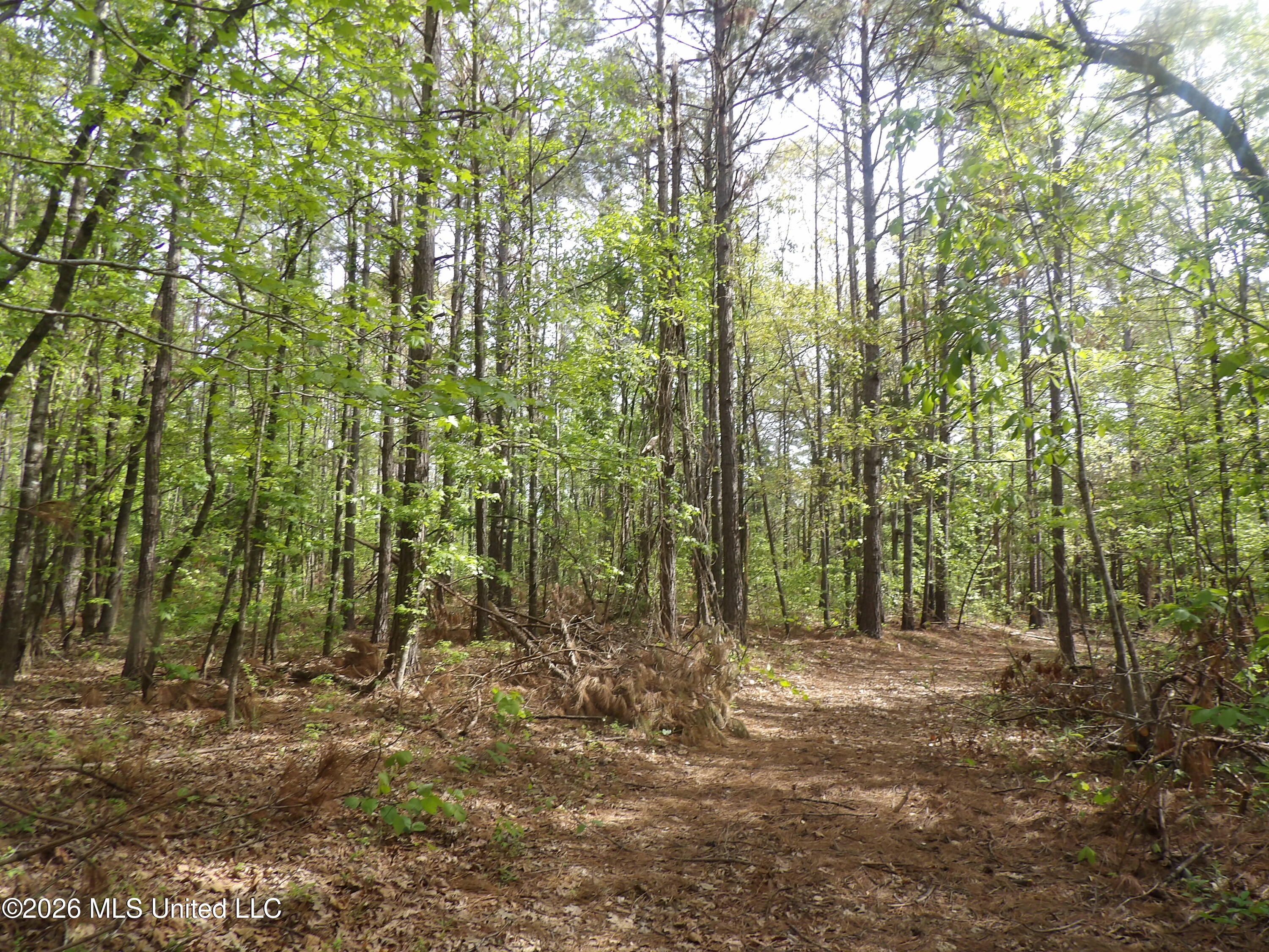 4269 Laws Hill Road Waterford, MS 38685 - Photo 19 of 19 100_7221