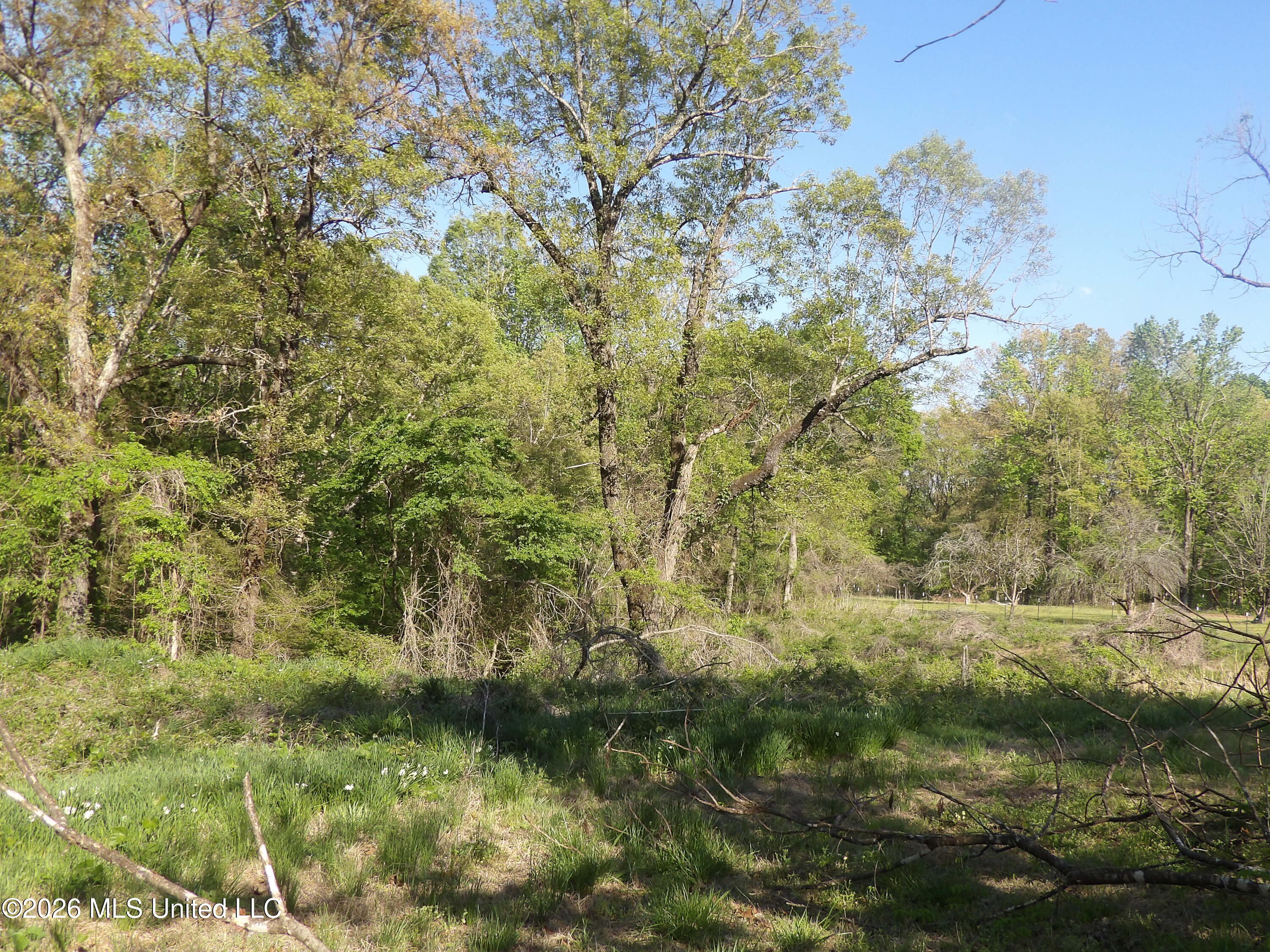 4269 Laws Hill Road Waterford, MS 38685 - Photo 2 of 19 100_7202