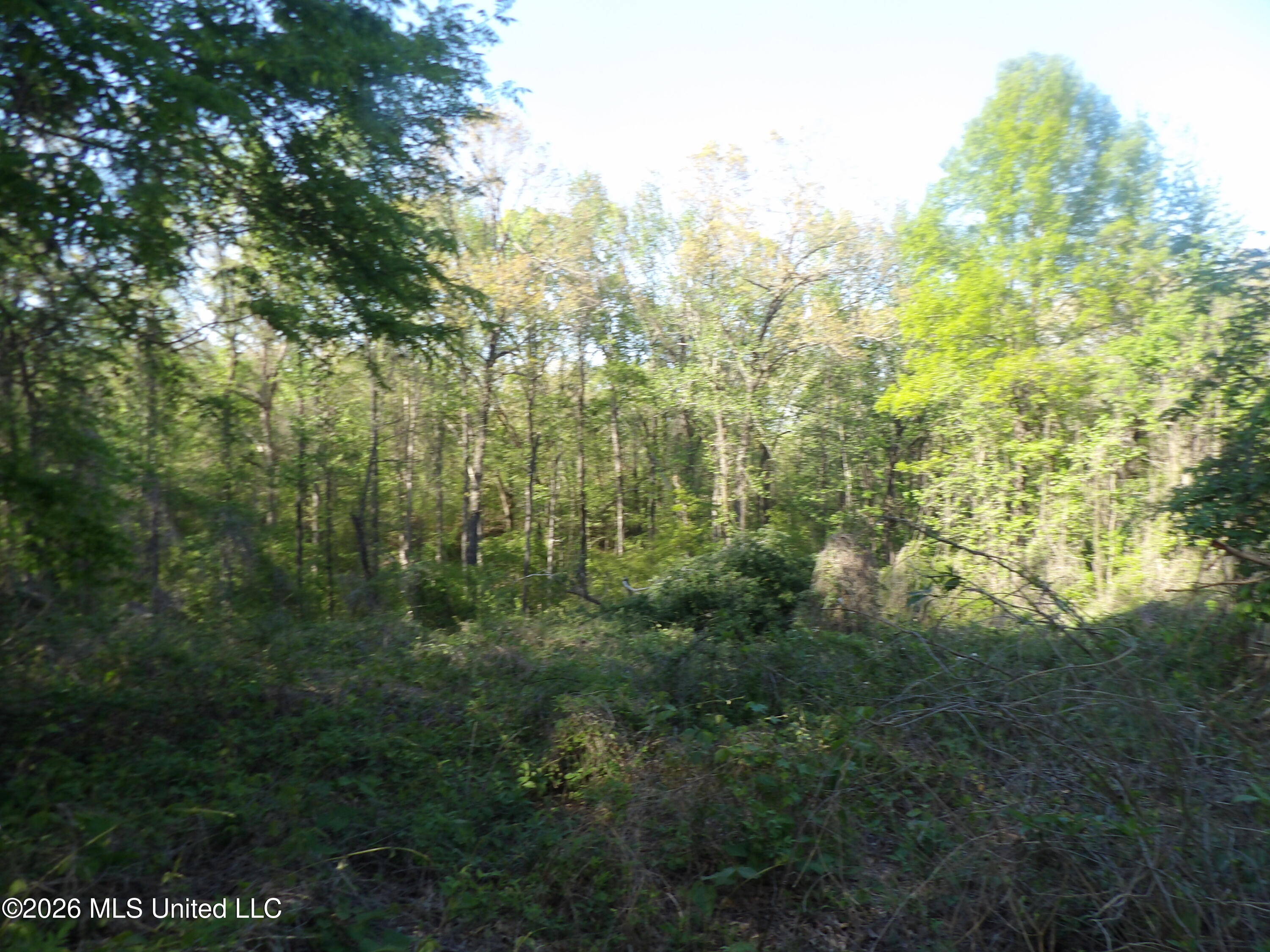 4269 Laws Hill Road Waterford, MS 38685 - Photo 5 of 19 100_7205