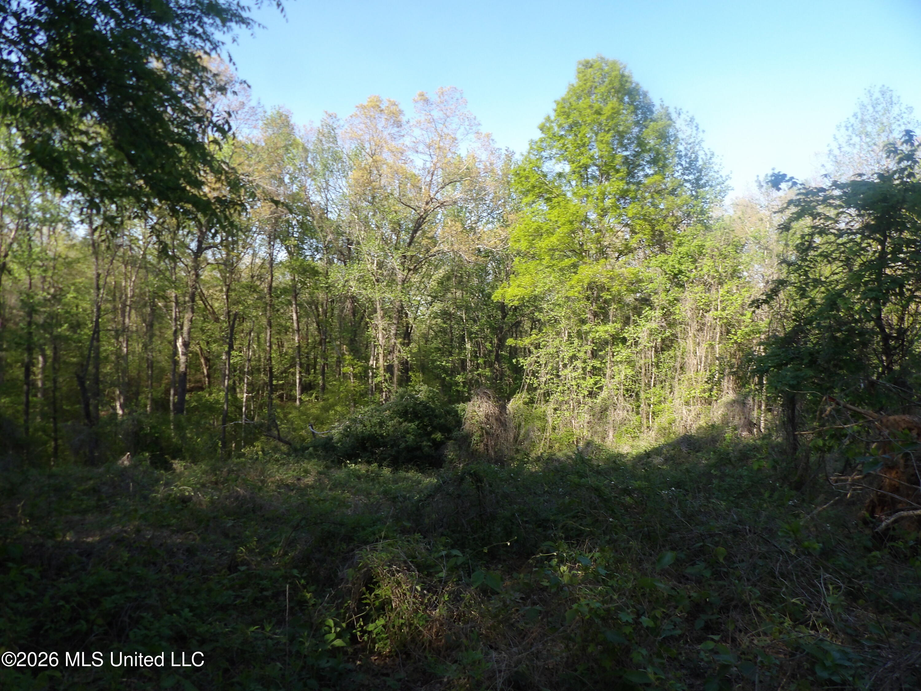 4269 Laws Hill Road Waterford, MS 38685 - Photo 6 of 19 100_7206
