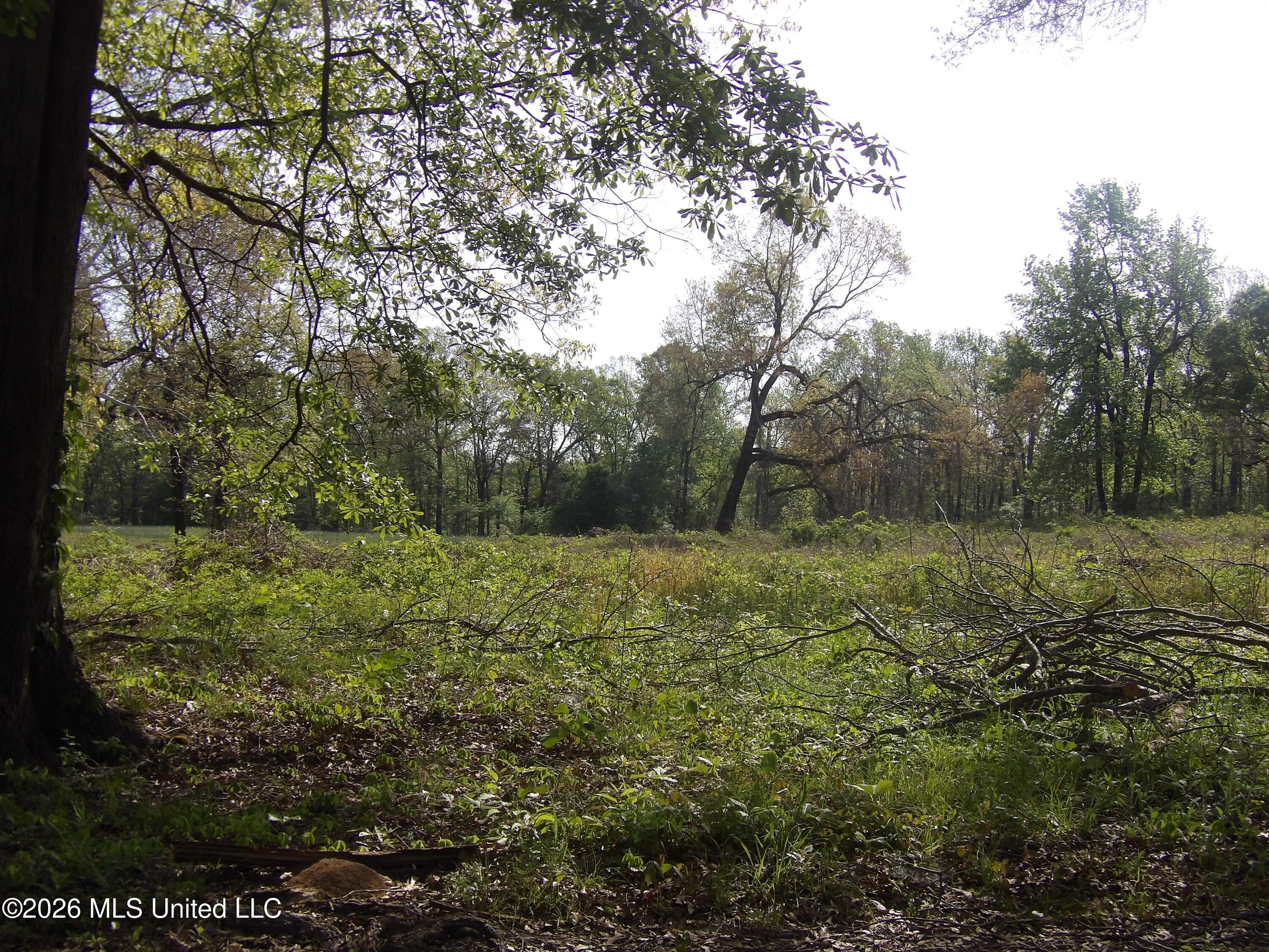4269 Laws Hill Road Waterford, MS 38685 - Photo 10 of 19 100_7211