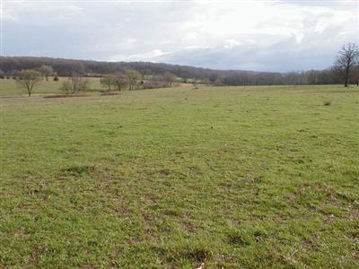 2227 East 470th Road Half Way, MO 65663 - Photo 1 of 1 Primary Photo