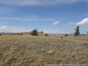 0 Ouray Road Hartsel, CO 80449 - Photo 4 of 6 Gallery Image 4