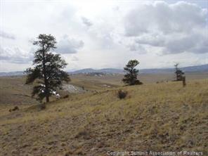 0 Ouray Road Hartsel, CO 80449 - Photo 5 of 6 Gallery Image 5