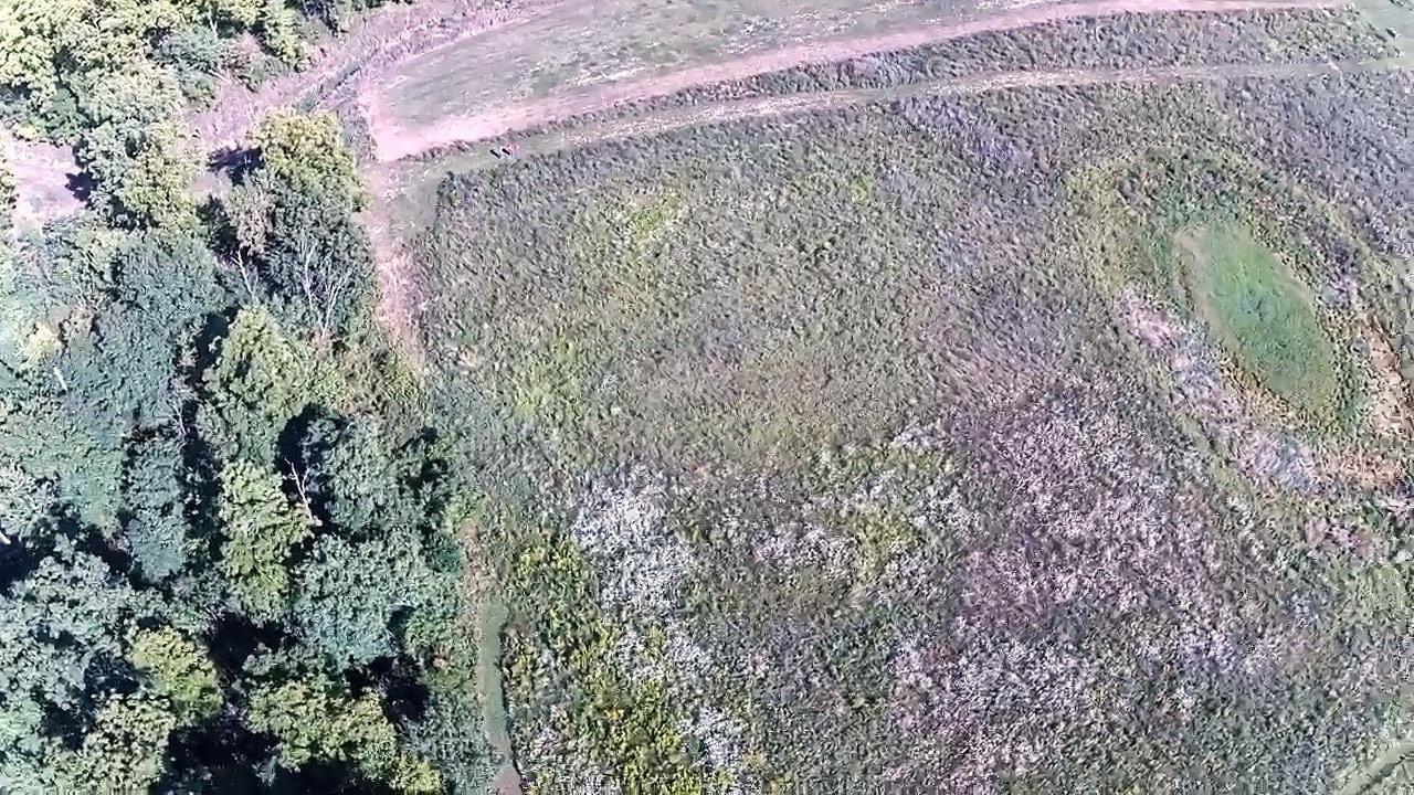 5661 County Road 36A Butler, IN 46721 - Photo 27 of 31