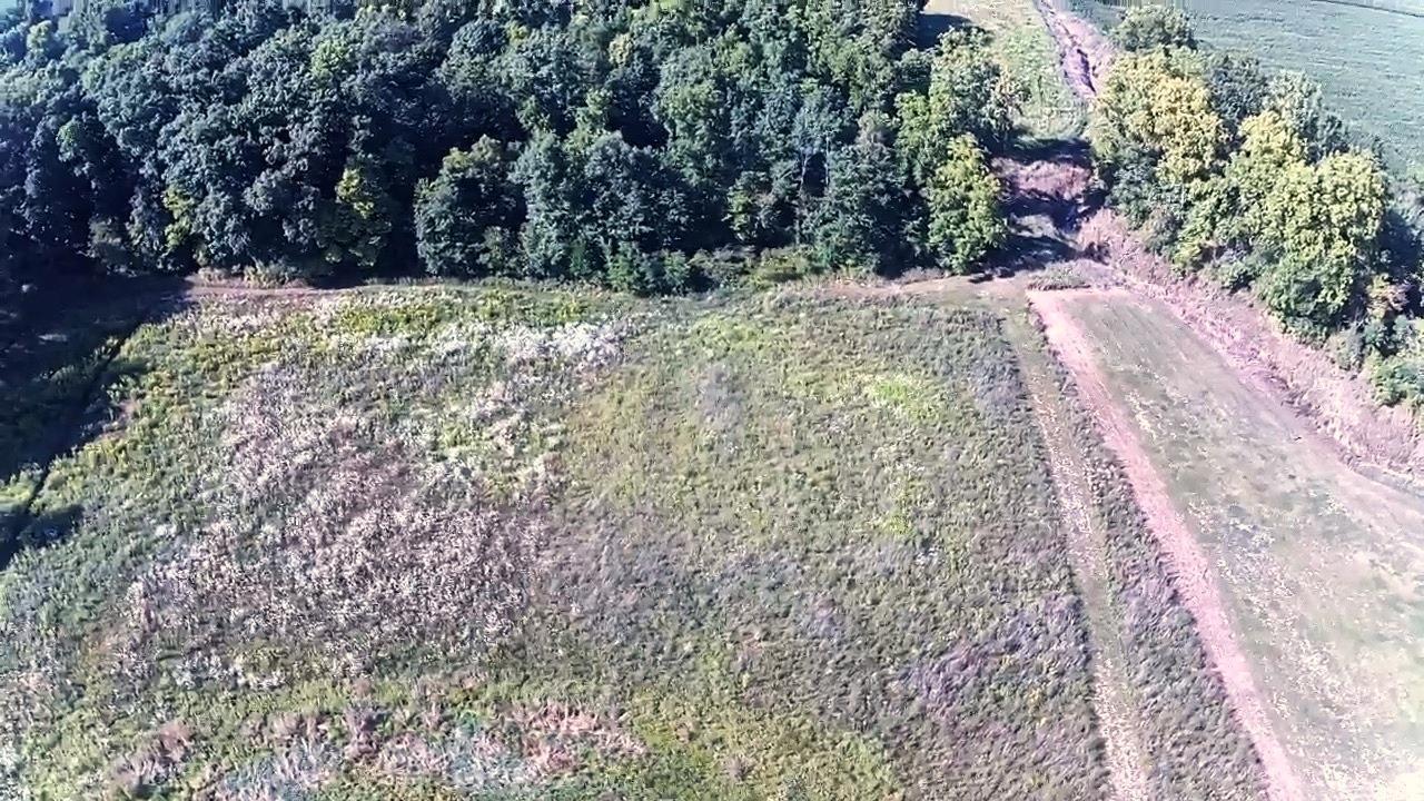5661 County Road 36A Butler, IN 46721 - Photo 30 of 31