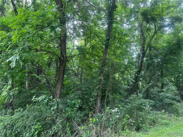 $70,000 | 8615 Pike 9120, Louisiana, MO 63353