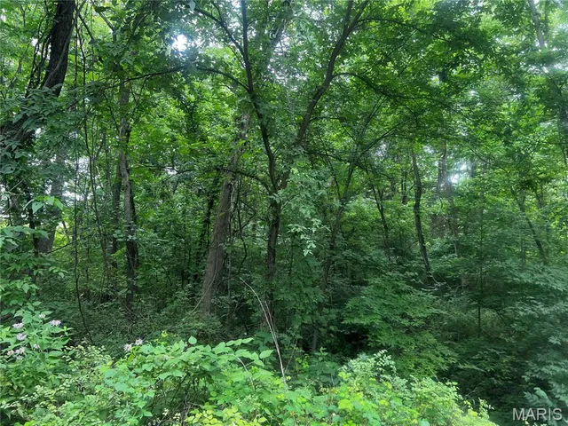 $70,000 | 8615 Pike 9120, Louisiana, MO 63353