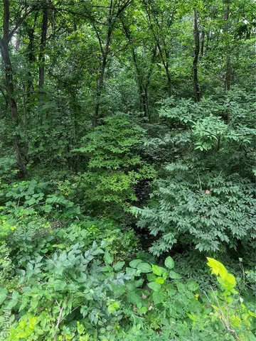 $70,000 | 8615 Pike 9120, Louisiana, MO 63353