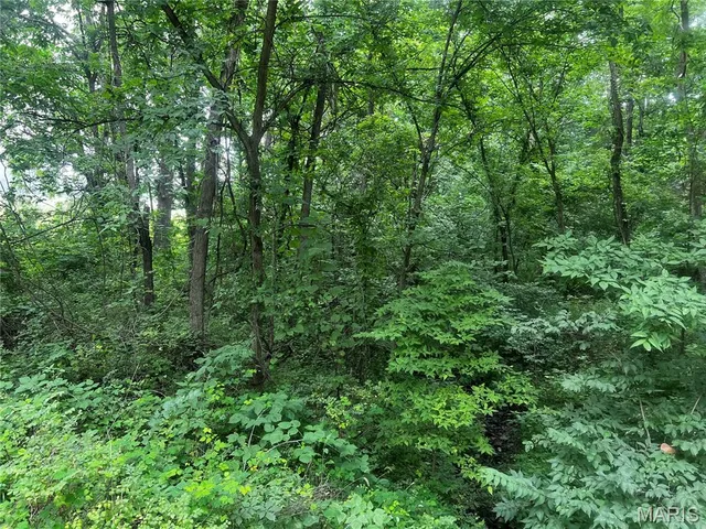 $70,000 | 8615 Pike 9120, Louisiana, MO 63353