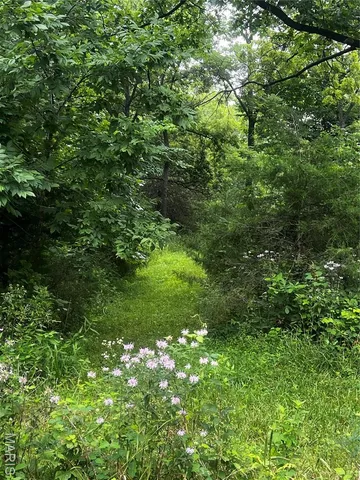 $70,000 | 8615 Pike 9120, Louisiana, MO 63353