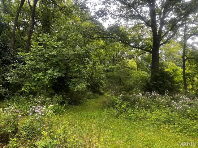 $70,000 | 8615 Pike 9120, Louisiana, MO 63353