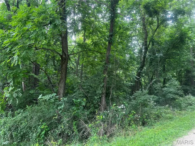 $70,000 | 8615 Pike 9120, Louisiana, MO 63353