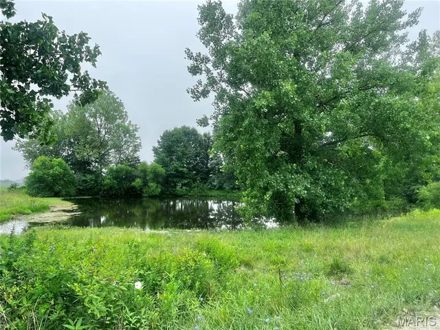 $70,000 | 8615 Pike 9120, Louisiana, MO 63353