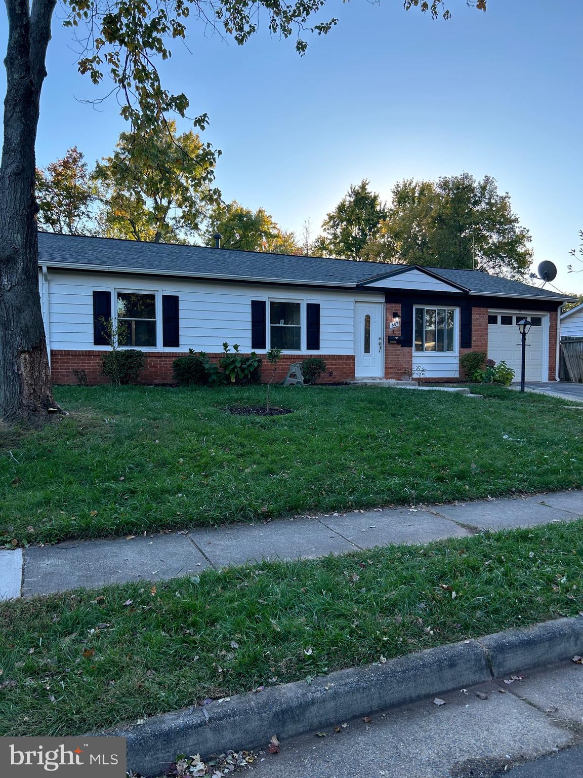 607 West Nettle Tree Road Sterling, VA 20164 - Photo 1 of 22 Lovely tree lined Street