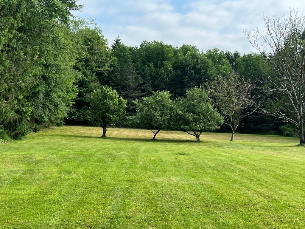 103 Emerson Road Castle Creek, NY 13744 - Photo 5 of 31 Gallery Image 5