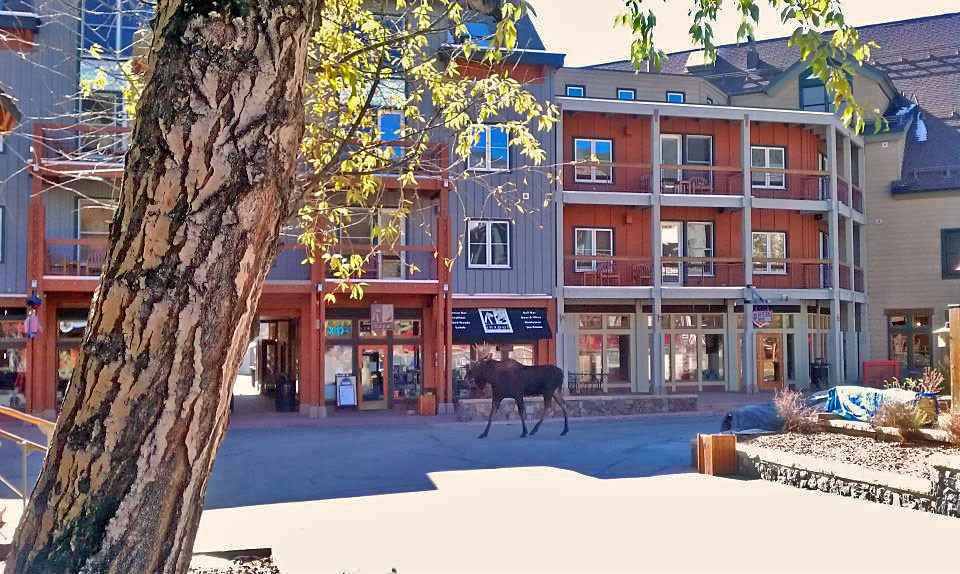129 River Run Road, Unit 8051 Keystone, CO 80435 - Photo 45 of 50 Multi-story building featuring multiple balconies, ground-level retail spaces, and a mix of wood and siding exteriors