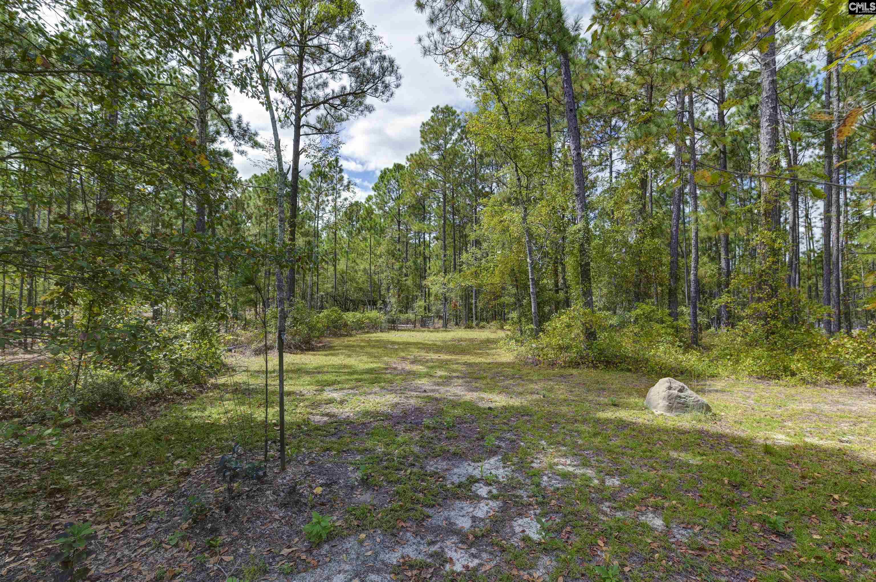257 Rimrock Road Gilbert, SC 29054 - Photo 38 of 46