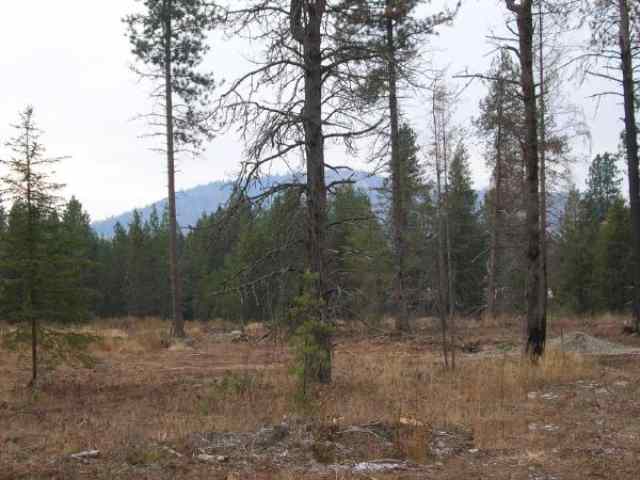 761 North Shore Road Newport, WA 99156 - Photo 4 of 6 Gallery Image 4