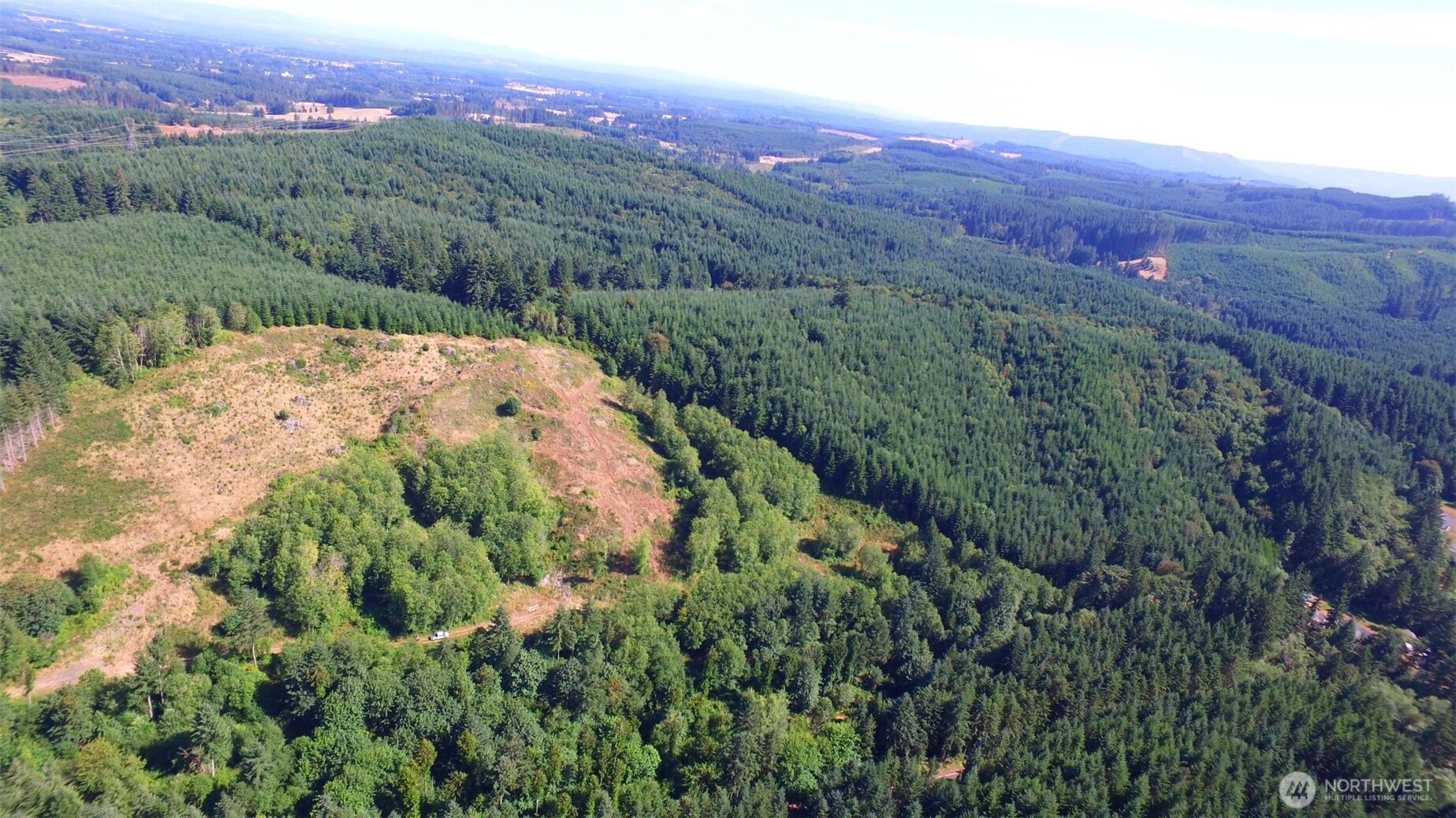 0 Sears Road Winlock, WA 98596 - Photo 12 of 21 a view of a lush green field with mountains in the background