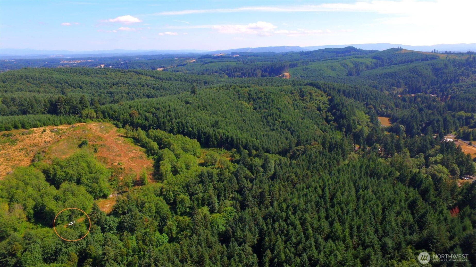 0 Sears Road Winlock, WA 98596 - Photo 16 of 21 a view of a lush green outdoor space with a lake view