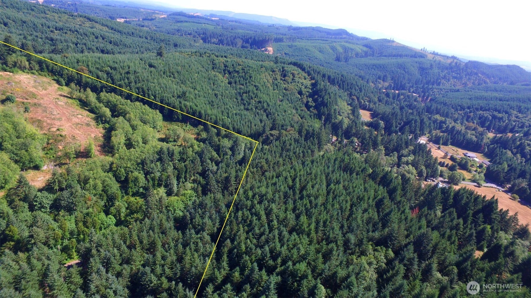 0 Sears Road Winlock, WA 98596 - Photo 17 of 21 a view of a lush green forest with lush green forest