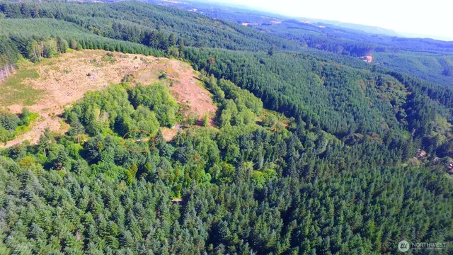 a view of a backyard with a lush green forest