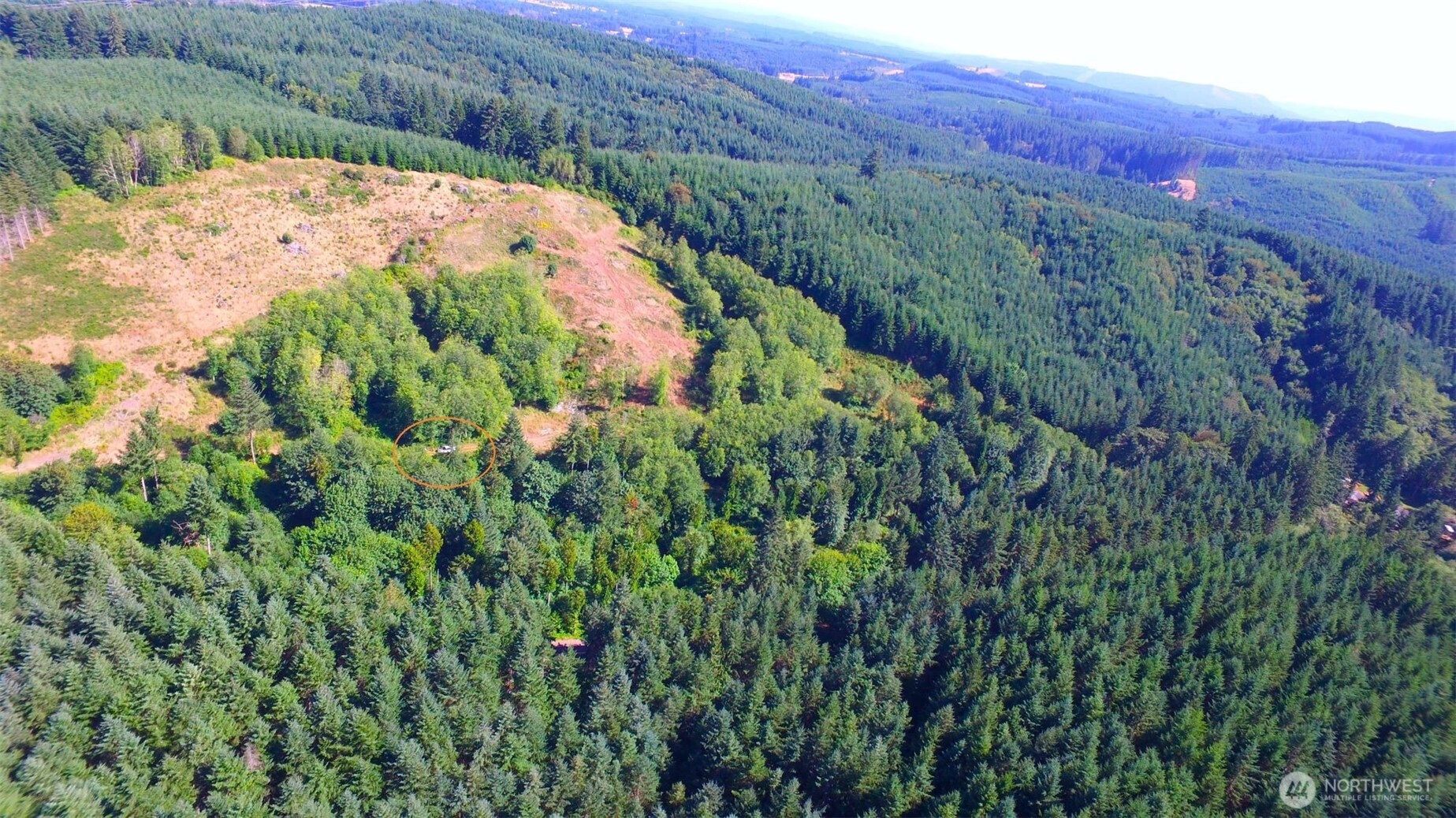 0 Sears Road Winlock, WA 98596 - Photo 18 of 21 a view of a backyard with a lush green forest